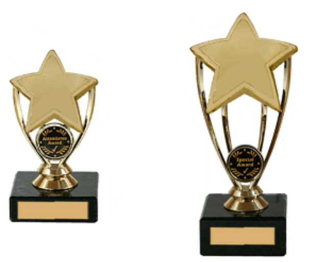 Gold Prestigious Achievement Star Awards Gold Prestigious Achievement Star Awards